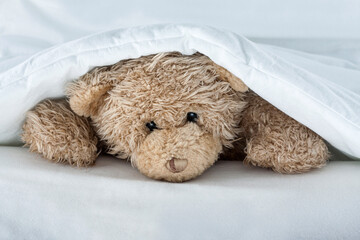 Toy Teddy Bear under the blanket on bed