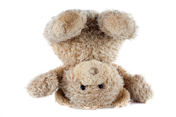 Funny Teddy Bear turned upside down isolated on white background
