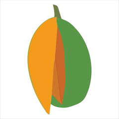 A mango is an edible stone fruit-Vector art work