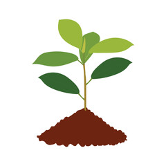 A Small beautiful tree vector Art