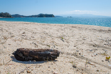 小さな流木と白い砂浜
