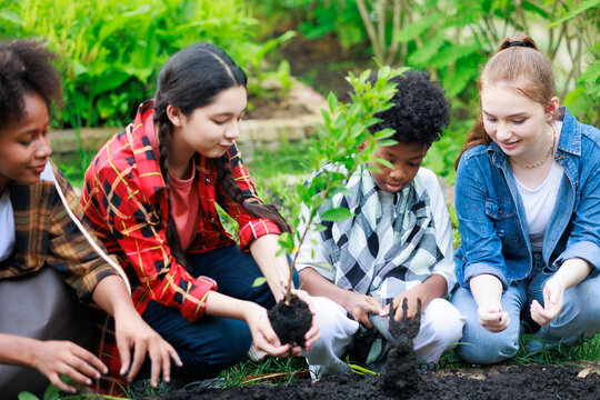 diverse teenage boy and girls Learn to grow vegetables. Divers kids children ethnic girl and boy happy laughing fun together outdoors at camp farm.