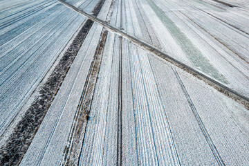 Ośnieżone pola na polskiej wsi. Wiejski, zimowy krajobraz. Zima. © hunter76