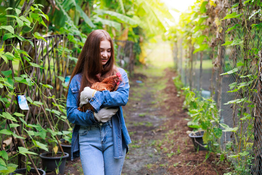 young girl farmer holding a hen in the garden