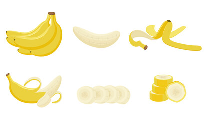 Vector illustration of ripe bananas isolated on white background. Bundle, pieces, peel, peeled banana.