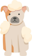 Care foam icon cartoon vector. Dog spa. Wash pet