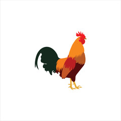 Chicken meat is a healthy-Vector Art Work