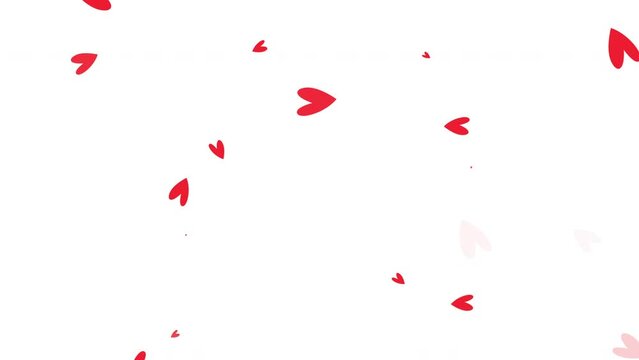 Abstract loop  red heart flowing down on white background. Animation for Valentine day, Birthday party, wedding or any holiday. Background for romantic animation.