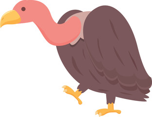 Condor vulture icon cartoon vector. Animal bird. Feather african