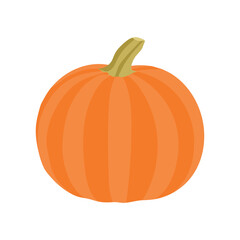 Pumpkin is a nutritious orange vegetable Vector Art Work