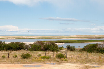 landscape with trees and river 