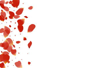 Delicate Blossom Fall Vector White Background.