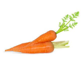 Carrot isolated on white background