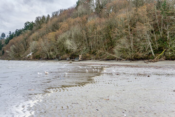 Winter Puget Sound Shoreline 2