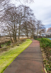 Ed,monds Marsh Walkway 2