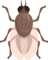 Etching tsetse fly icon cartoon vector. Africa insect. Nature wings