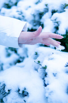 A Hand Touching The Snow