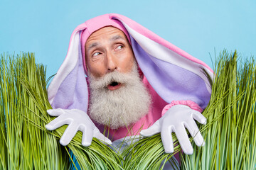 Photo of funky impressed pensioner guy dressed bunny kigurumi hiding grass looking empty space isolated blue color background