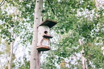 Wooden birdhouse.Birdhouse on a tree in springtime on a background of green leaves.Old bird house made of birch stump in the area of the farm park.Simple birdhouse design. Shelter for breeding birds.