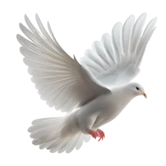 Selbstklebende Fototapeten dove isolated on white background © I LOVE PNG