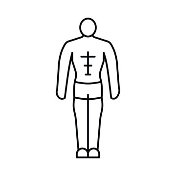 ectomorph female body type line icon vector illustration