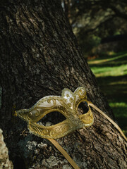 Venetian carnival golden mask in the garden