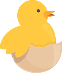 Chicken hatching at easter icon cartoon vector. Chick baby. Cute bird
