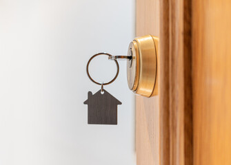 Open door with key in the lock, in hor photo and space for advertising
