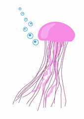 Cute pink jellyfish isolated on white bckground.