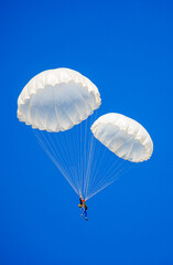 Skydiving. Flying parachutists against the background of the blue sky and mountains. Extreme sport and entertainment.