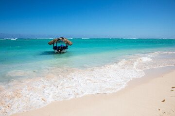 Fototapeta na wymiar Tropical beach, palm tree and travel boat in Punta Cana, Dominican Republic.