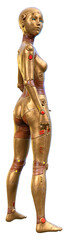 3D Rendering Female Robot on White
