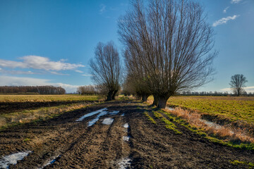 A field road from Willow, around Elblag, Poland - areas produced by the accumulation of river material in the river delts.