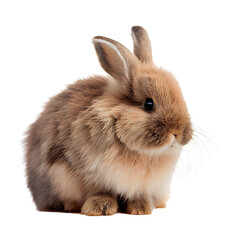 Obraz premium Cute rabbit isolated on transparent background. Generative AI