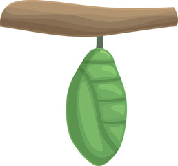 Branch cocoon icon cartoon vector. Natural leaf. Larva insect