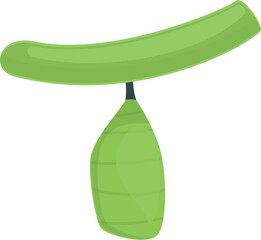 Green cocoon icon cartoon vector. Silk nature. Natural larva