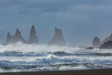 Seagulls rejoice at the storm on the Basalt Sea Stacks Reynisdrangar near the village Vík in South Iceland.