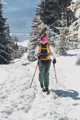 Mountaineer backcountry ski walking ski alpinist in the mountains. Ski touring in alpine landscape with snowy trees. Adventure winter sport. Kralova hola, Slovakia © Zedspider