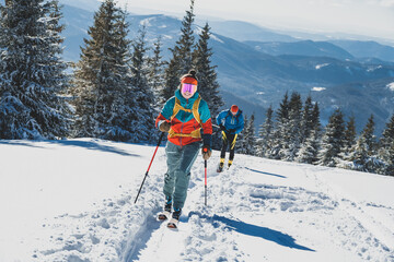 Mountaineer backcountry ski walking ski alpinist in the mountains. Ski touring in alpine landscape with snowy trees. Adventure winter sport. Kralova hola, Slovakia © Zedspider