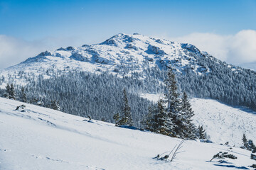 Alpine mountains landscape with white snow and blue sky. Sunset winter in nature. Frosty trees under warm sunlight.  Hiking winter to kralova hola, low tatras slovakia landscape © Zedspider