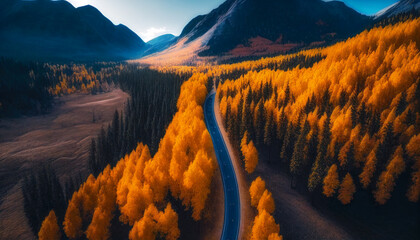 Aerial view of road in colorful forest at sunset in autumn. Travel. Generative AI