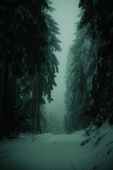 Winterwanderweg