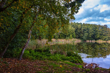 Natural landscape of the lake, high definition, the movement of waves against the background of the autumn forest. The reflection of clouds on the ripples of water. Germany.