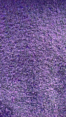 Abstract texture of grass surface for background design fill text	