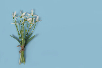  Bouquet snowdrops on blue background, flat lay. Space for text.