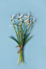 Little bouquet of white snowdrops on blue background, flat lay.