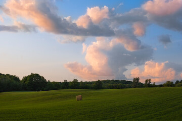Fototapeta premium Landscape with hay bale at freshly mown vast field at sunset hour. Sunny day, blue sky, soft light. Farming, agriculture, harvest, pasture, livestock concept. 