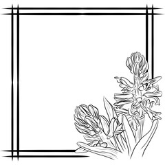 hyacinth drawing frame with spring flowers