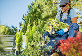 Garden Worker Professional Landscaper Preparing Plants