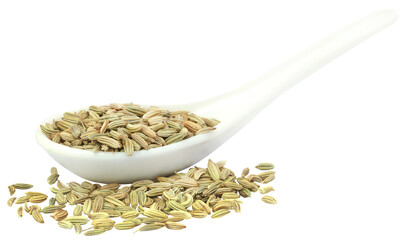 Fennel seeds